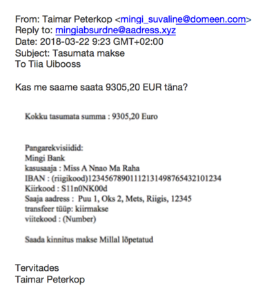 CERT-EE hoiatab: taas on hoogustunud tegevjuhi petuskeem
