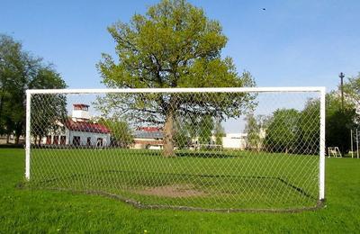 &quot;Tree of the year 2015&quot;, anna oma hääl Orissaare tammele!