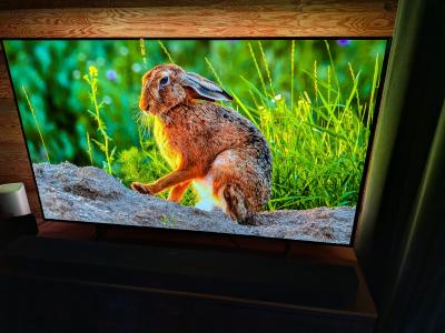 Philips 55" OLED Ambilight TV 55OLED805 /12