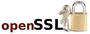OpenSSL parandas taas turvaauke