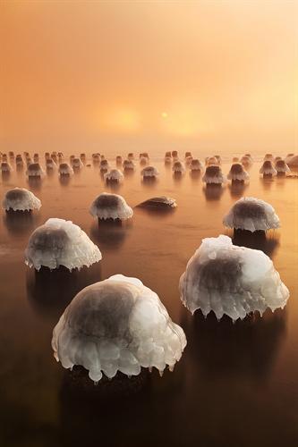 Sony World Photography Awards 2016 Eesti rahvusliku auhinna võitja on Andrei Reinol võidufotoga „Külmad kübarad“