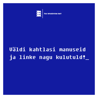 RIA hoiatab: Ole eriolukorras eriti IT-vaatlik