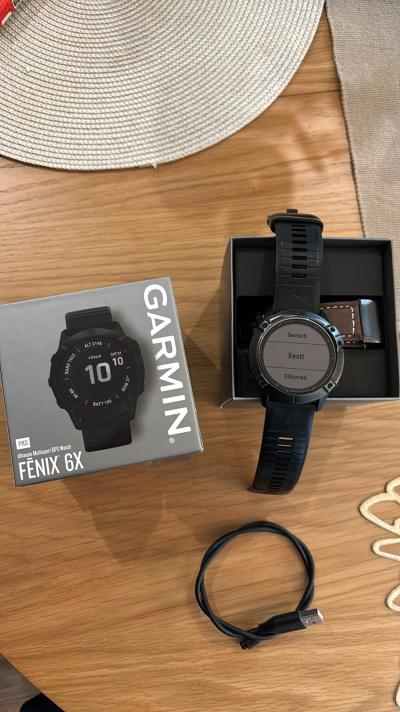 Garmin Fenix 6X Pro
