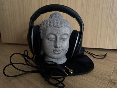 Sennheiser HD550