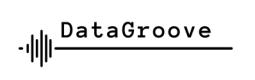Datagroove logo