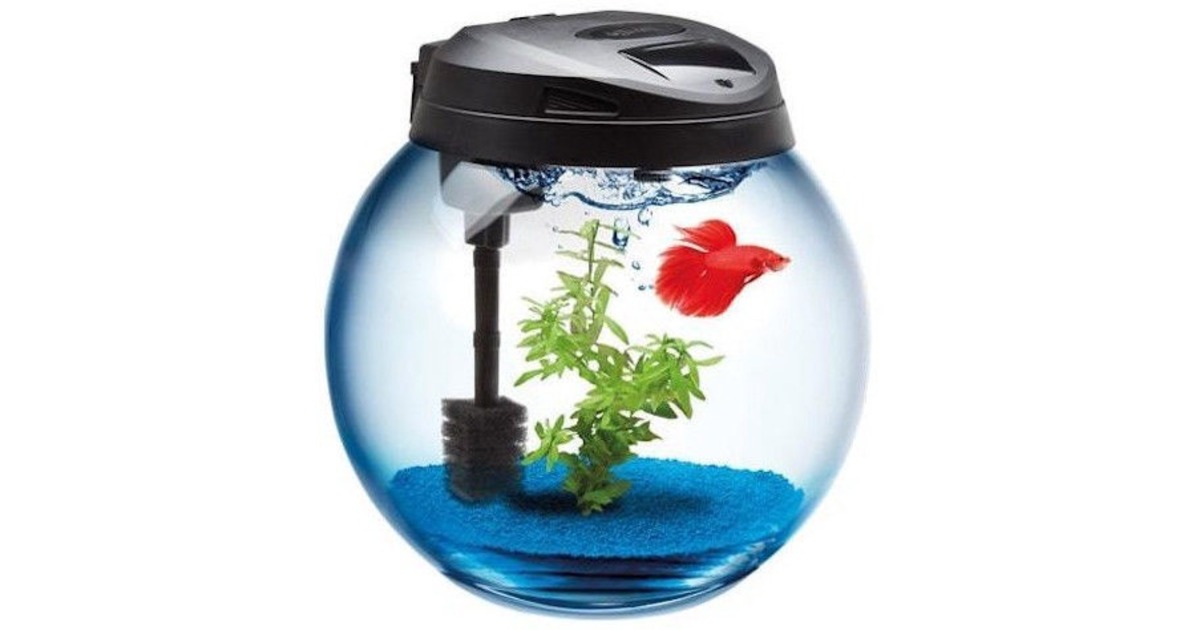 Аквариумы с фильтром и освещением. Aquael Aquarium Bowl Sphere 45 l. Aquael Gold Fish. Круглый аквариум с подсветкой. Круглый аквариум кормушка.