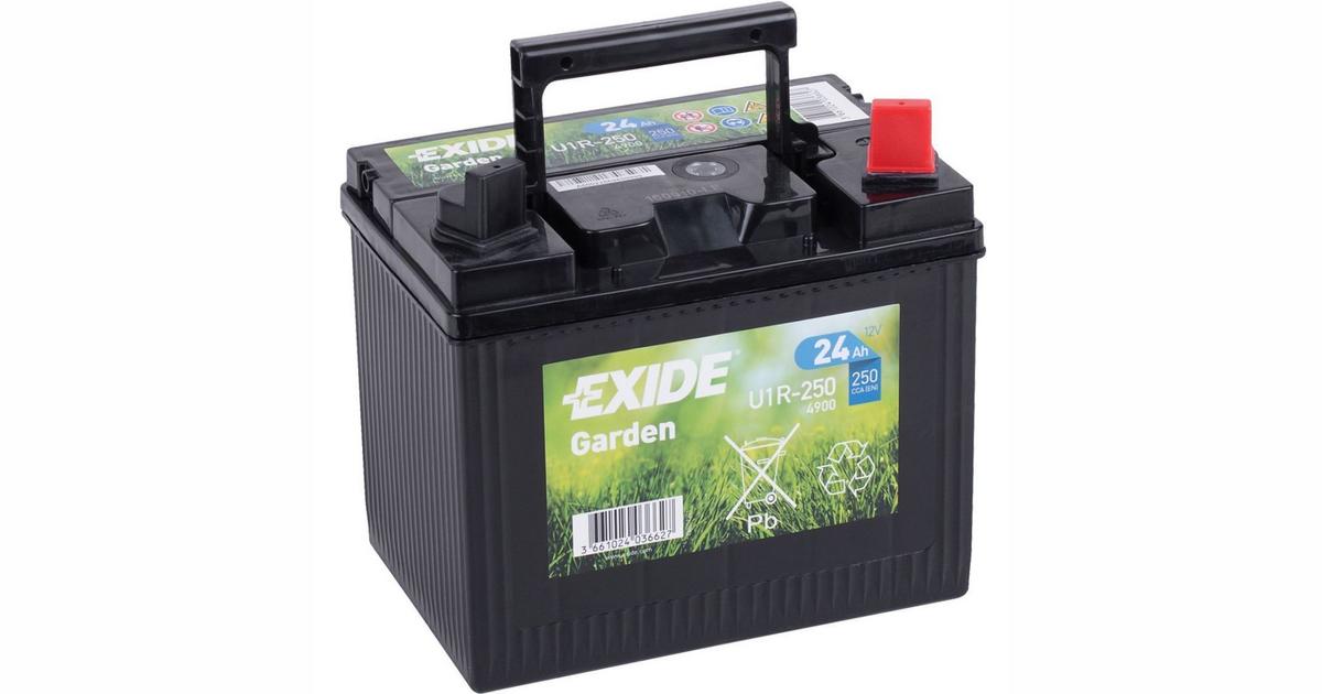 SALOME AUTO MOTOAKU EXIDE 12V 24AH MURUTRAKTORI 197X132X186MM