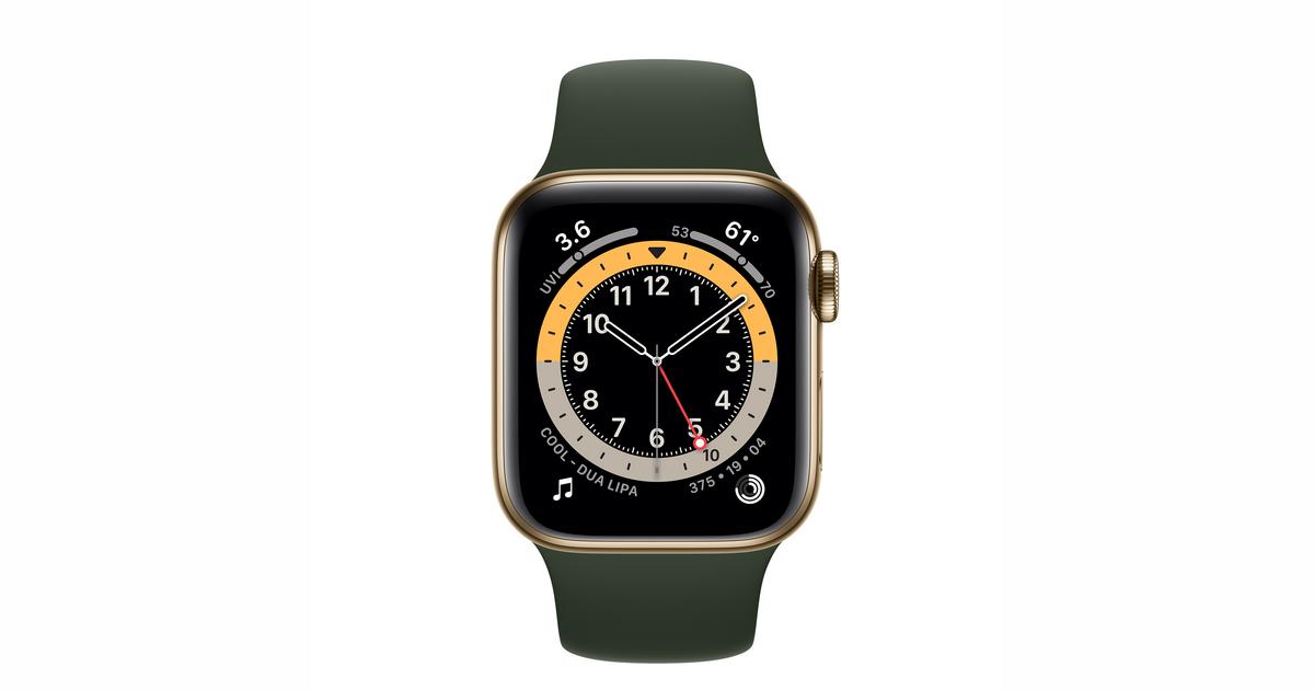Apple Watch Series 6 40mm Stainless steel GPS+Cellular - Gold ...