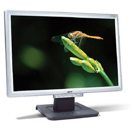 Acer 19" LCD AL1916WAs
