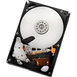 HGST Ultrastar 7K2000 1TB 3.5" 7200rpm 32MB SATA 3Gb/s HUA722010CLA330 (0A39289)