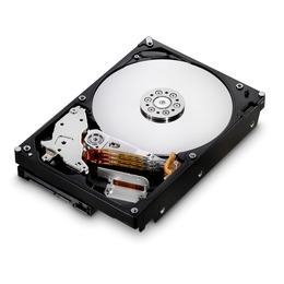 HGST Deskstar 7K1000.C 1TB 3.5" 7200rpm 32MB SATA 3Gb/s HDS721010CLA332 (0F10383)