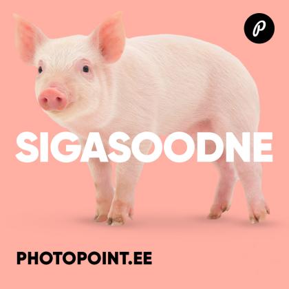 % KAUP ON SIGASOODNE %